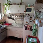 Cálido apartamento a 8 cuadras del mar y a 3 de 18 Julio Hay una gatita