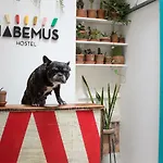Habemus Hostel
