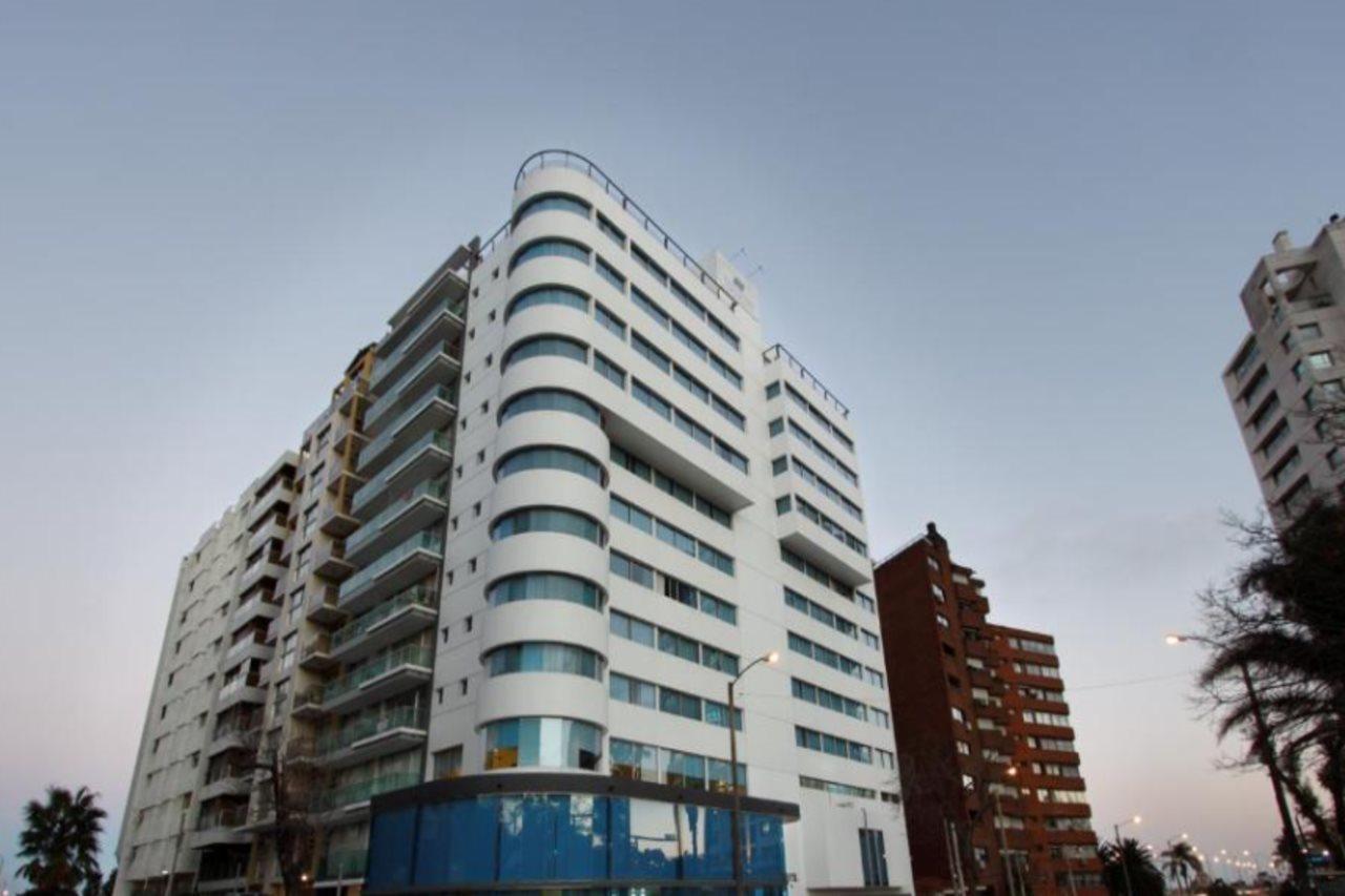 Palladium Business 4*