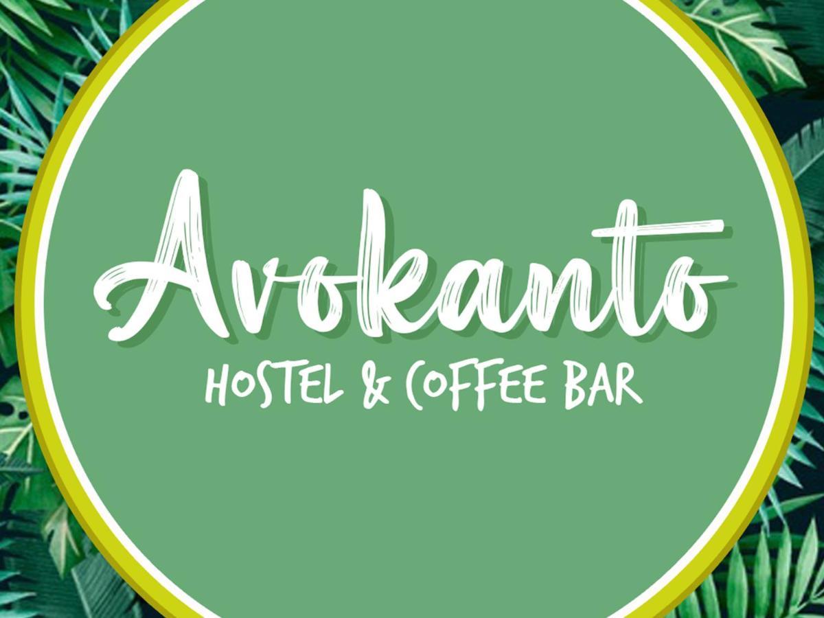 Avokanto *