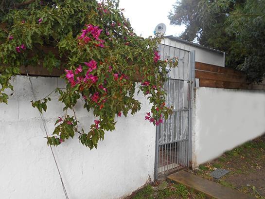 Puerto Del Buceo, En Apartamento Compartido Homestay *