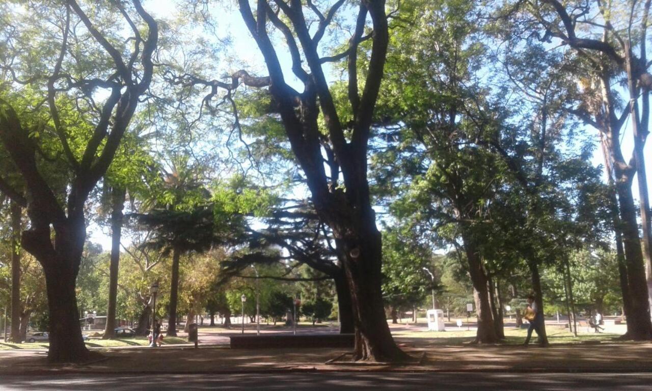 Paseo Del