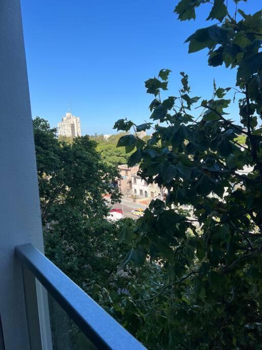 Hermoso Y Monoambiente En Tres Cruces Apartamento *