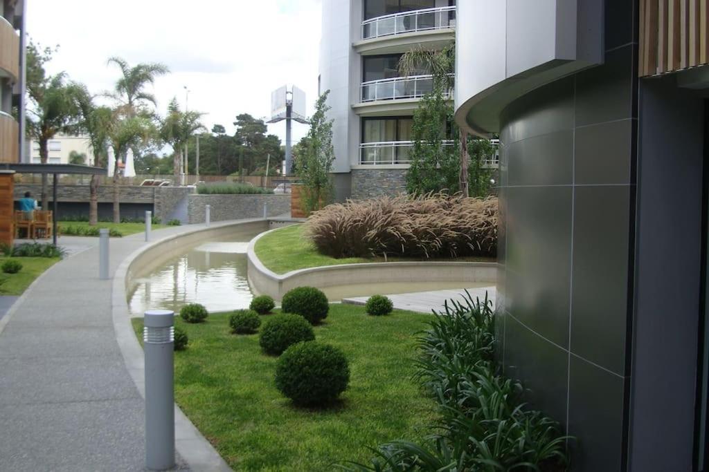 Loop 1d, 80 M2, Parrillero Y Deck En Carrasco