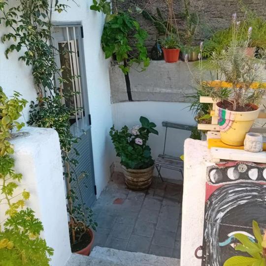 Youki Haus Montevideo
