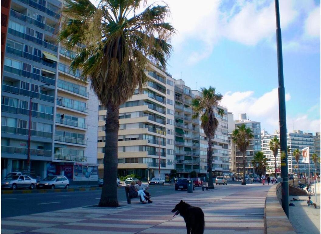 Apto A Cuadra De La Playa Pocitos * Montevideo