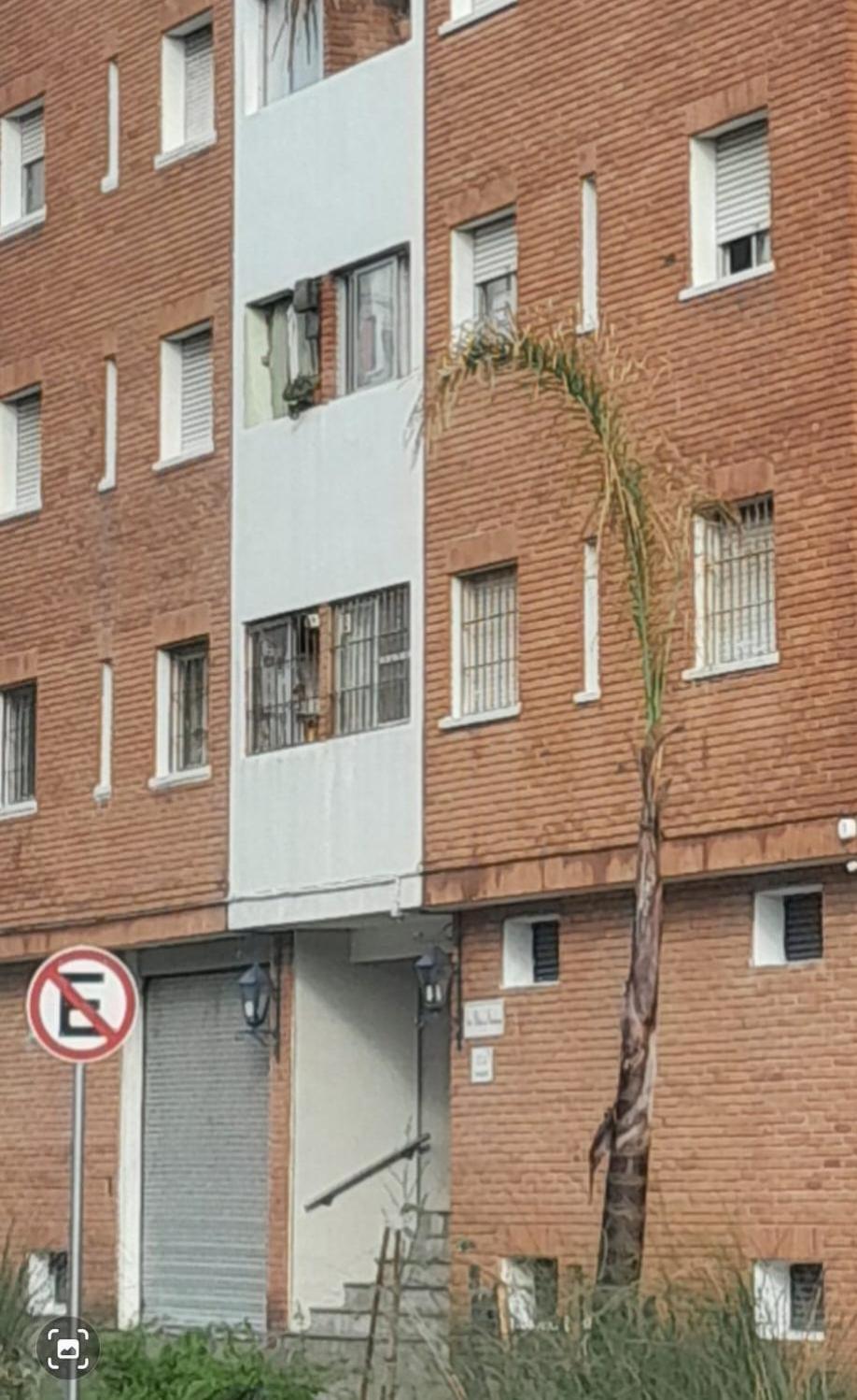 Frente Al Mar Apartamento
