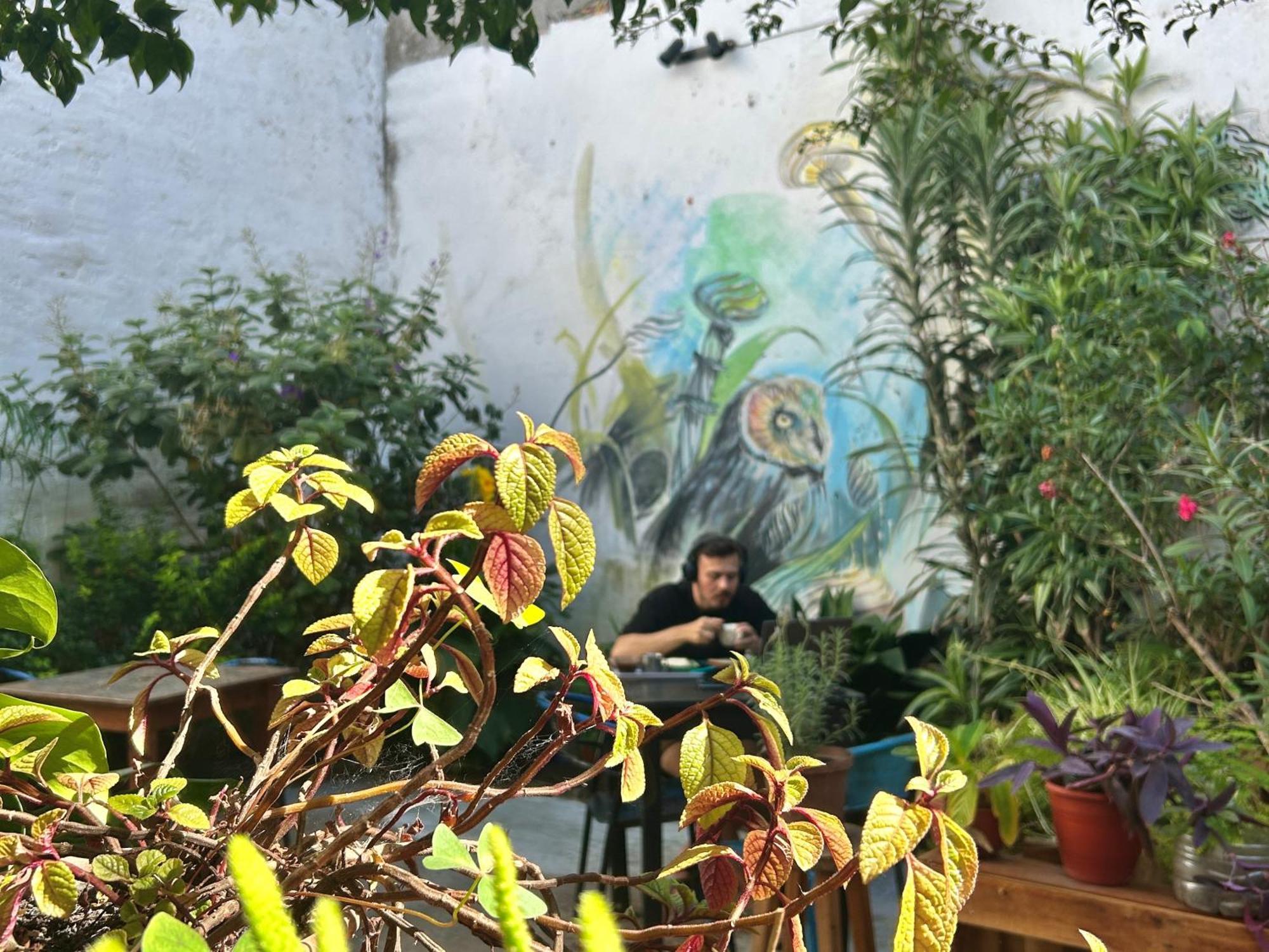 Bohemian Bed and breakfast *