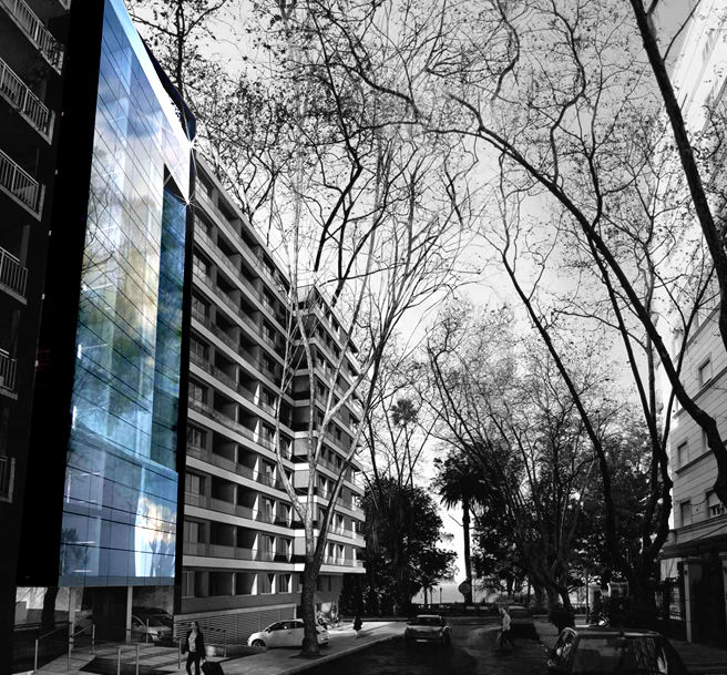 Palm Plaza