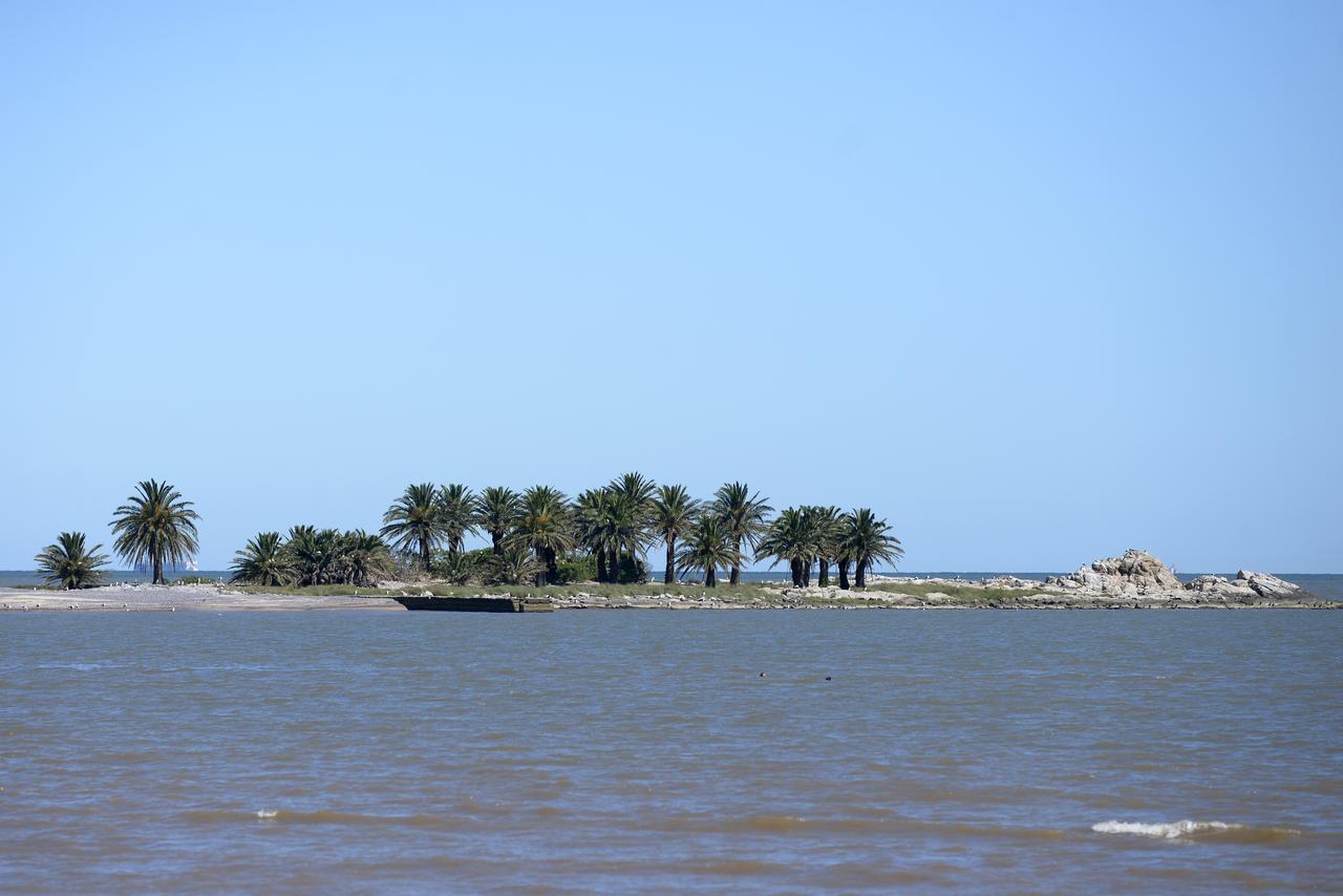 Gaviota