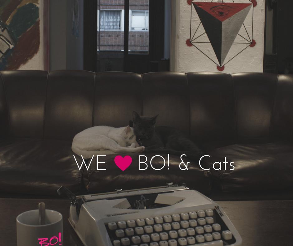 Bo Hostal Montevideo