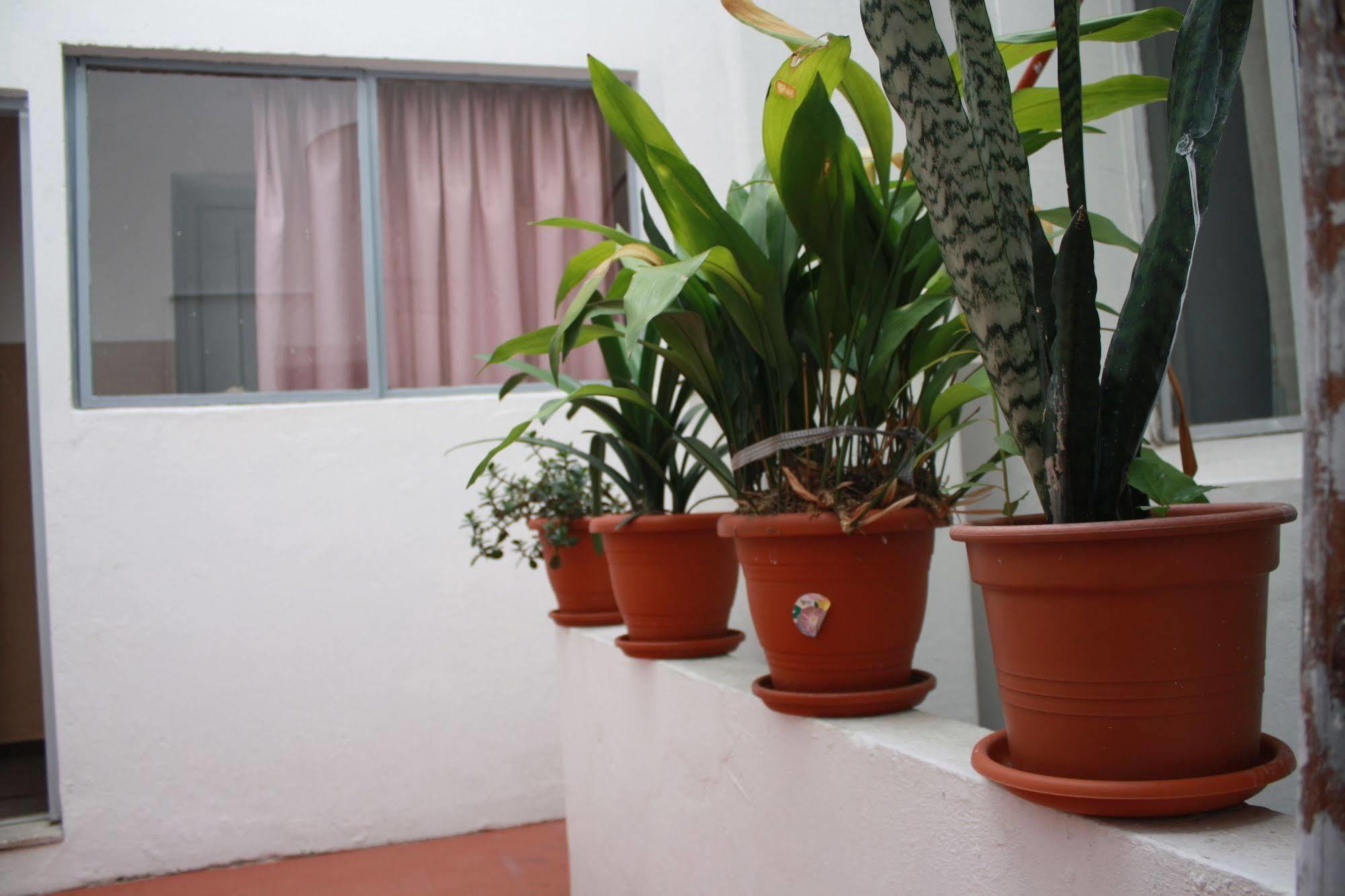 Ideal Hotel