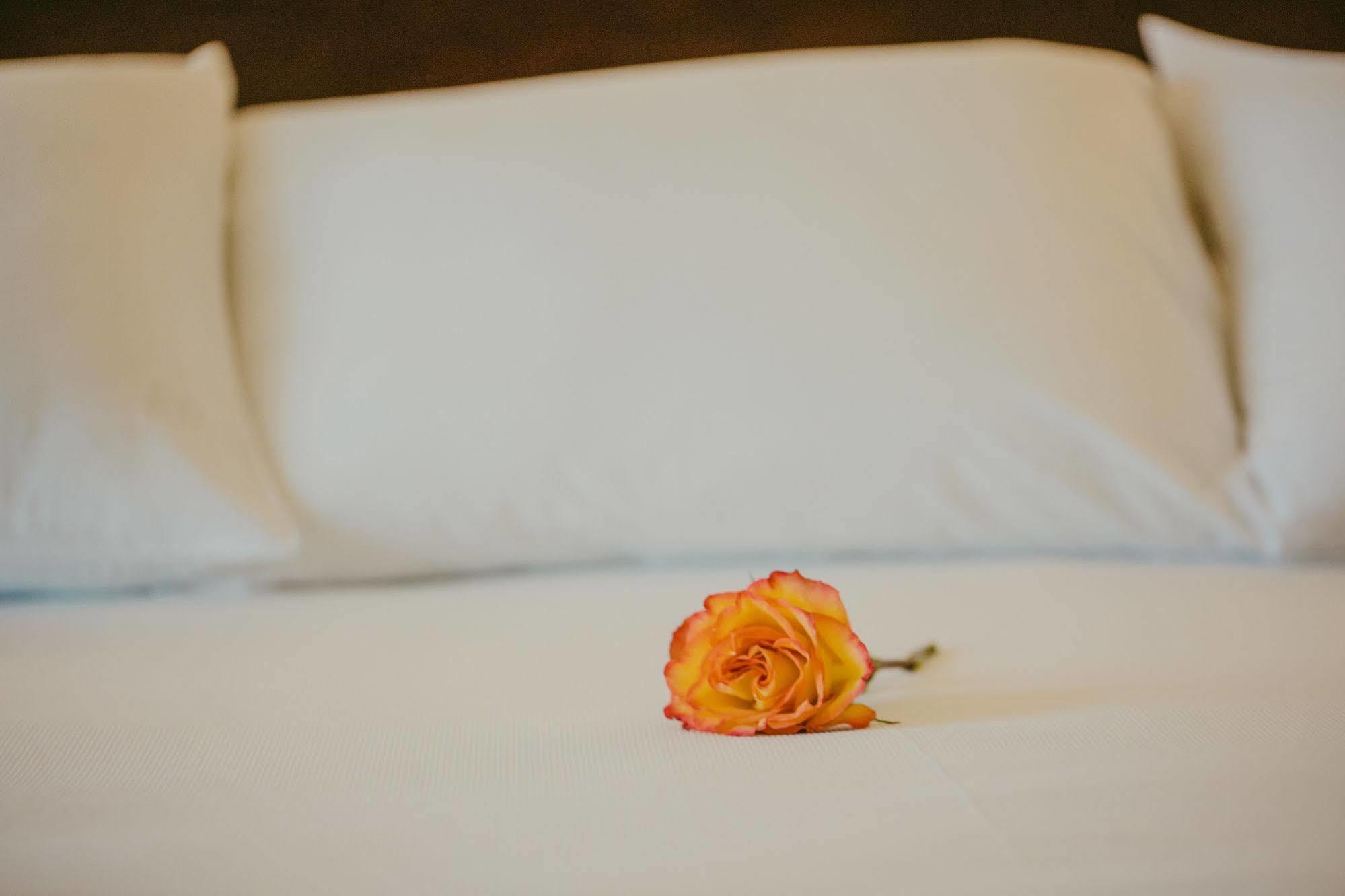 Hotel Belmont House 5*