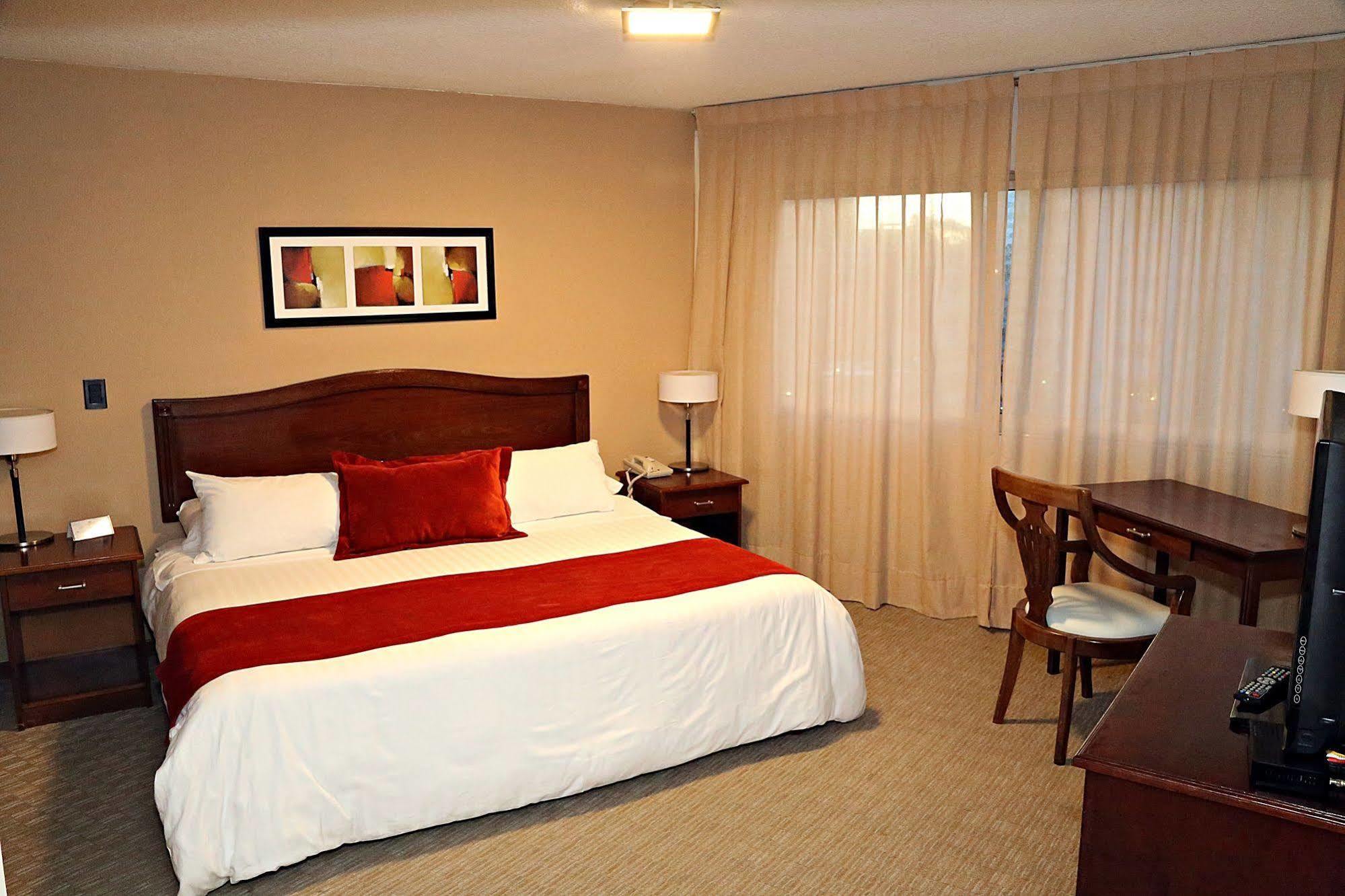 Hotel Palladium Business