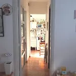 Cálido apartamento a 8 cuadras del mar y a 3 de 18 Julio Hay una gatita