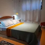 Bohemian Hostel