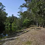 Playa, Bosque Y Lago