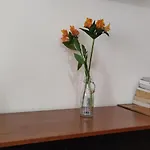 Apto En Pocitos Cerca A La Rambla Para 4 Personas
