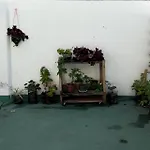 Rosa Apartment In Centro