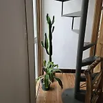Loft Reciclado Estilo Antiguo A 100Mts Del Mar 101