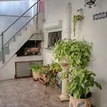 Ideal En Montevideo