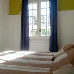 Pocitos Hostel