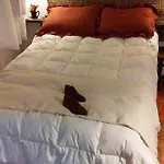 Apartamento Monoambiente Viejo Pancho