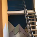 Coliving 18