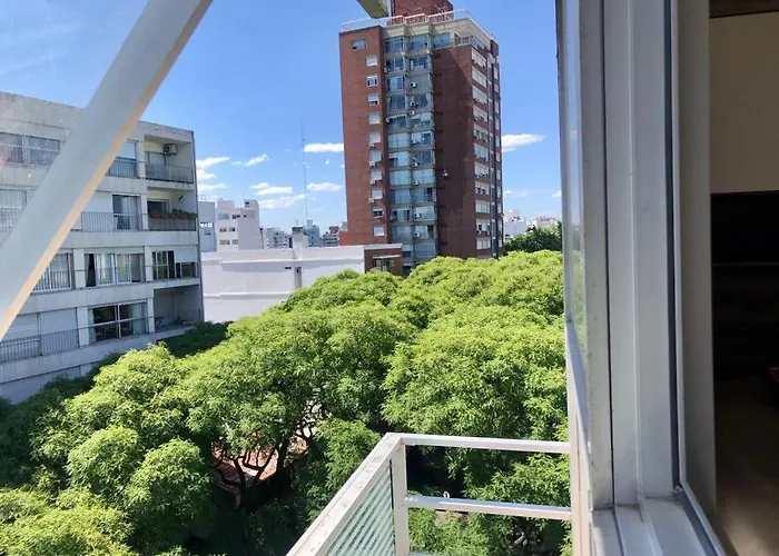 Mono En Piso 8 - Punta Carretas
