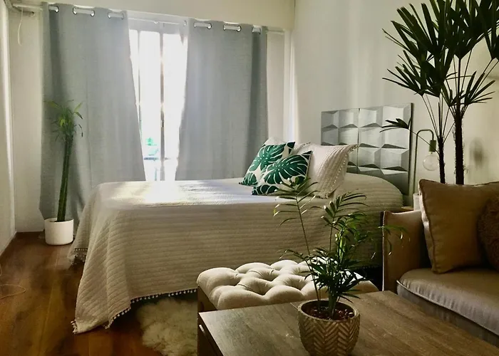 Loft Con Piscina En Punta Carretas