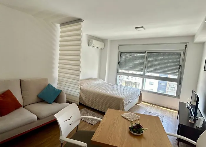 Hermoso Monoambiente En Punta Carretas Piso 9