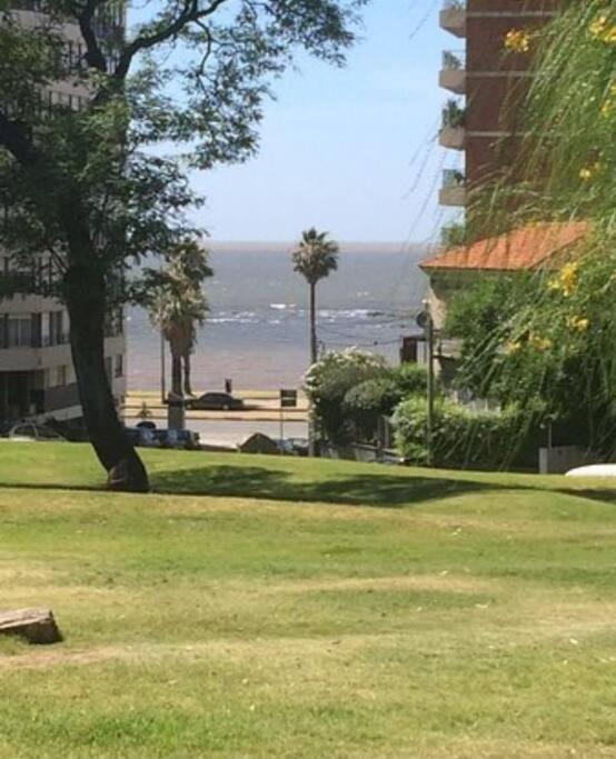 Apartamento Mónaco *