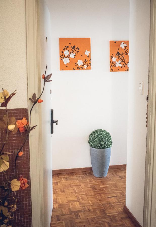 Apto. Entero Ciudad Vieja Apartamento *