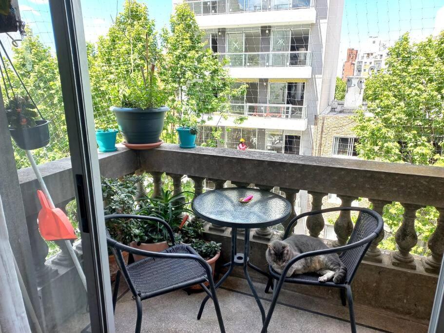 Hermoso Apartamento, Cerca De Todo! * Montevideo