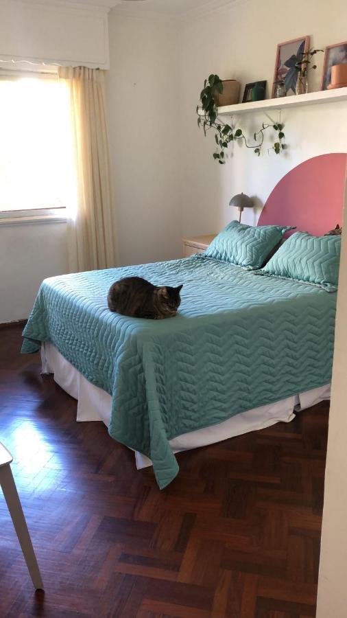 Hermoso Apartamento, Cerca De Todo! *