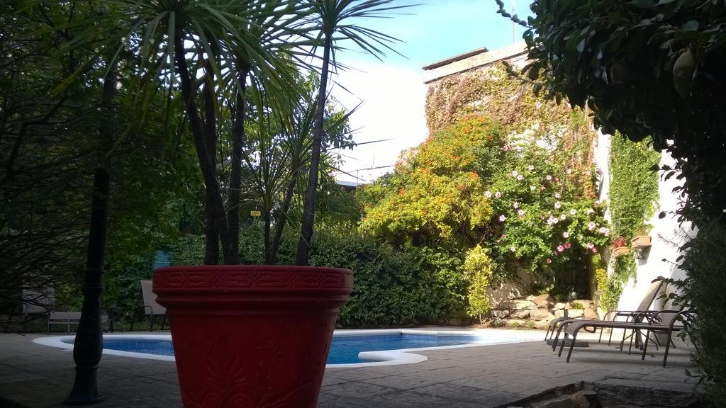 Regency Carrasco - & Boutique 4*