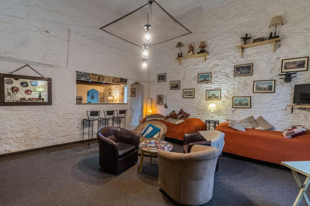 Ideal Excelente Loft Manhattan Entero Pet Friendly Zona Centrica Montevideo