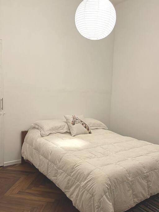Apartamento Calido Apartamento A 8 Cuadras Del Mar Y A 3 De 18 Julio Hay Una Gatita Que Vive Alli *
