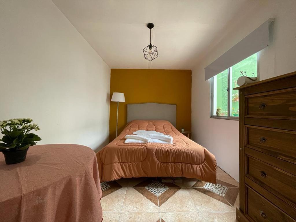 Expresso 3 Xxx Homestay Montevideo