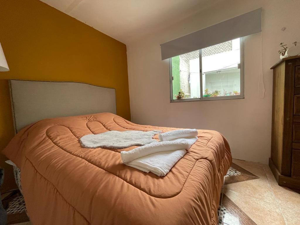 Expresso 3 Xxx Homestay Montevideo