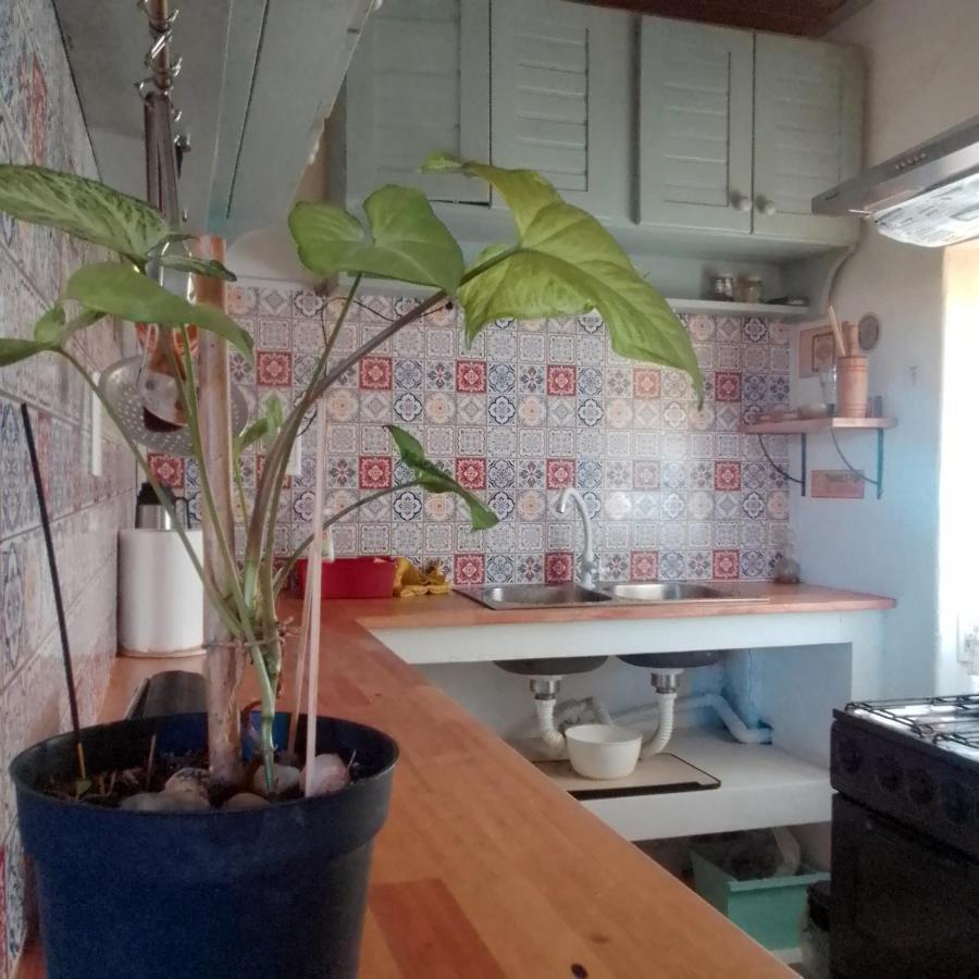 Habitación en casa particular Puerto Del Buceo, En Apartamento Compartido *
