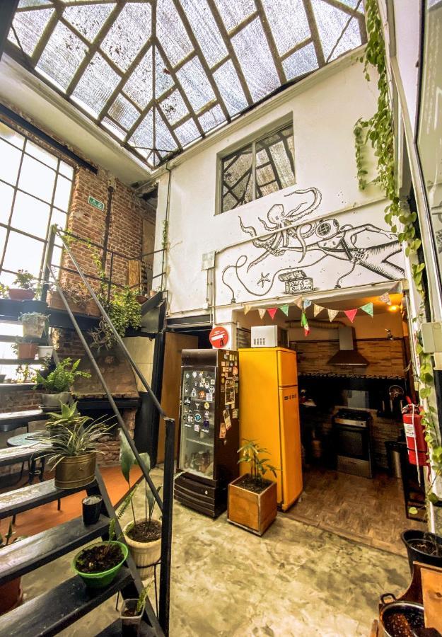 Casa Mutante Hostal Montevideo