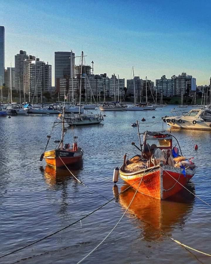 Puerto Del Buceo, En Apartamento Compartido *