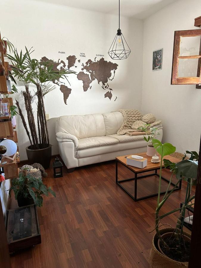 Apartamento Parque Batlle *