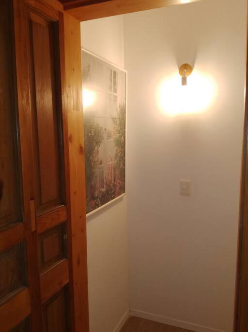 Vintage Monoambiente Apartamento Montevideo