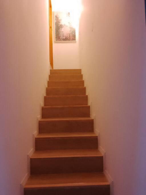 Vintage Monoambiente Apartamento Montevideo