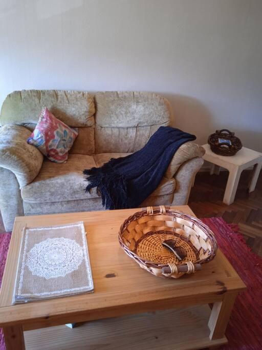 Apartamento Retro, Comodo Y Muy Luminoso. * Montevideo