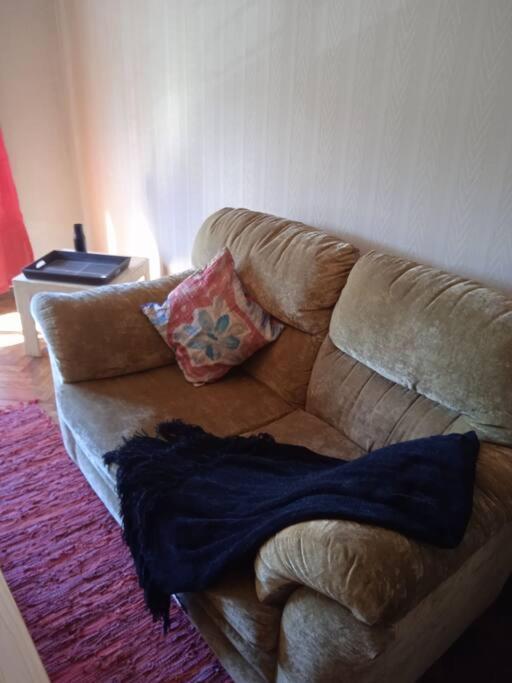 Apartamento Retro, Comodo Y Muy Luminoso. Montevideo
