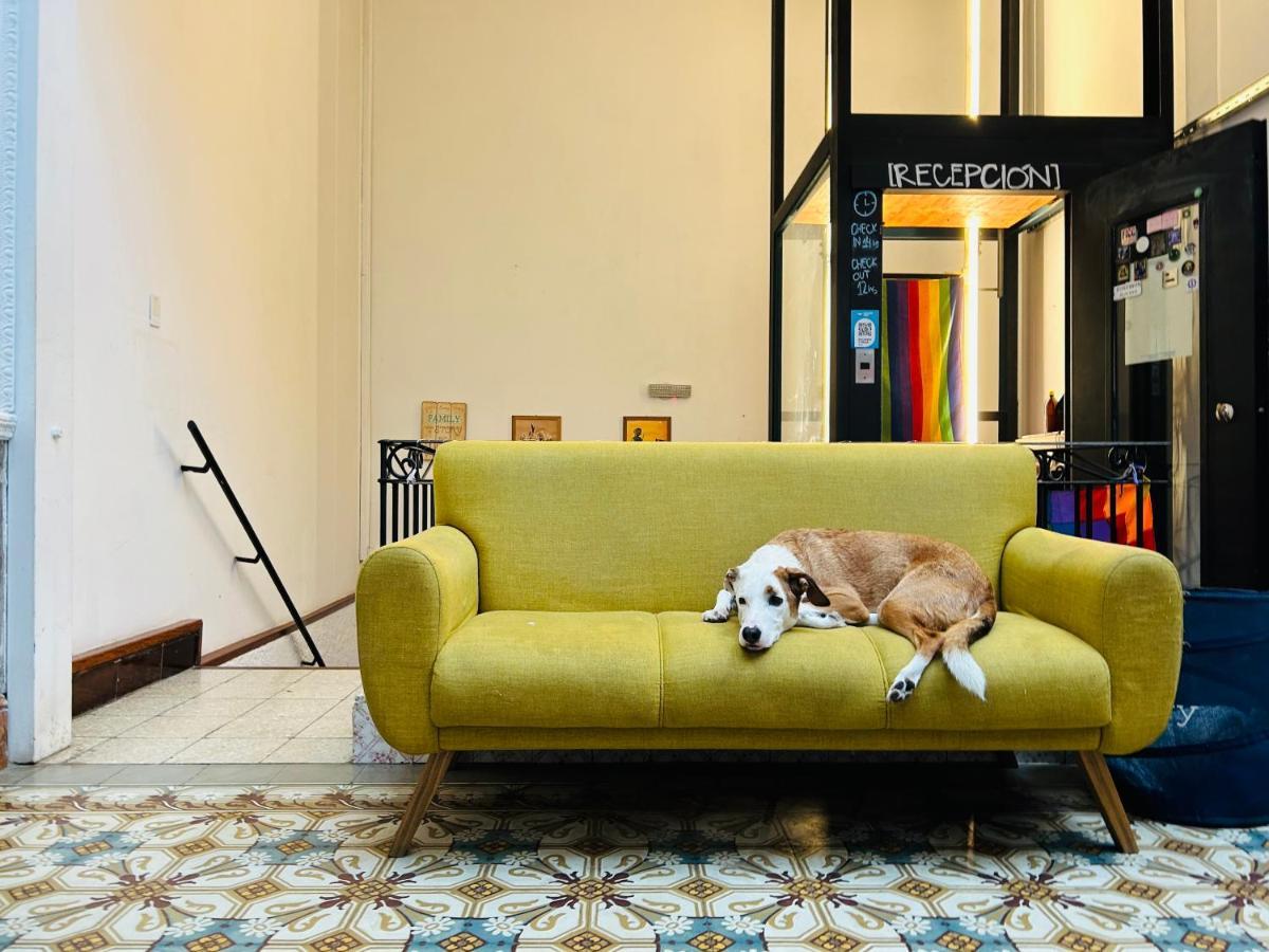 Bohemian Hostal Montevideo