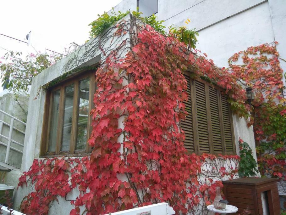 Sky Garden Sarandi Duplex Wild Terrace Old Town